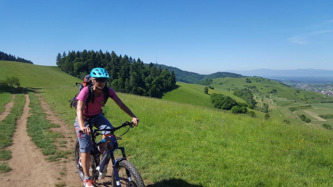 Gaestehaus Casa Luna - Paradiesische Ferienwohnungen Am Kaiserstuhl! Bischoffingen Eksteriør bilde
