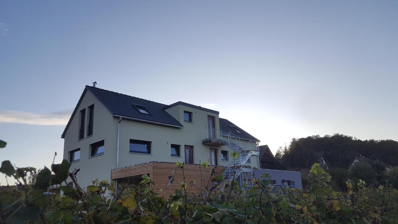 Gaestehaus Casa Luna - Paradiesische Ferienwohnungen Am Kaiserstuhl! Bischoffingen Eksteriør bilde