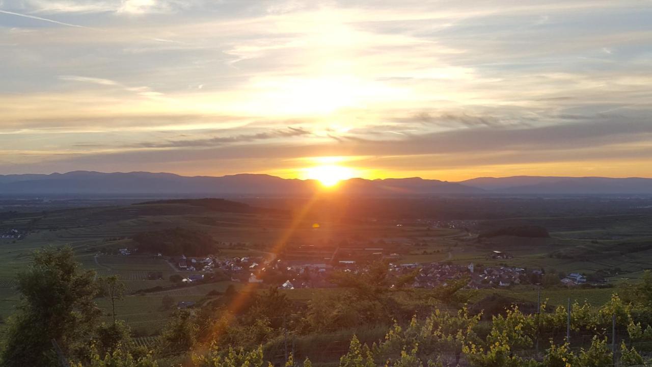 Gaestehaus Casa Luna - Paradiesische Ferienwohnungen Am Kaiserstuhl! Bischoffingen Eksteriør bilde