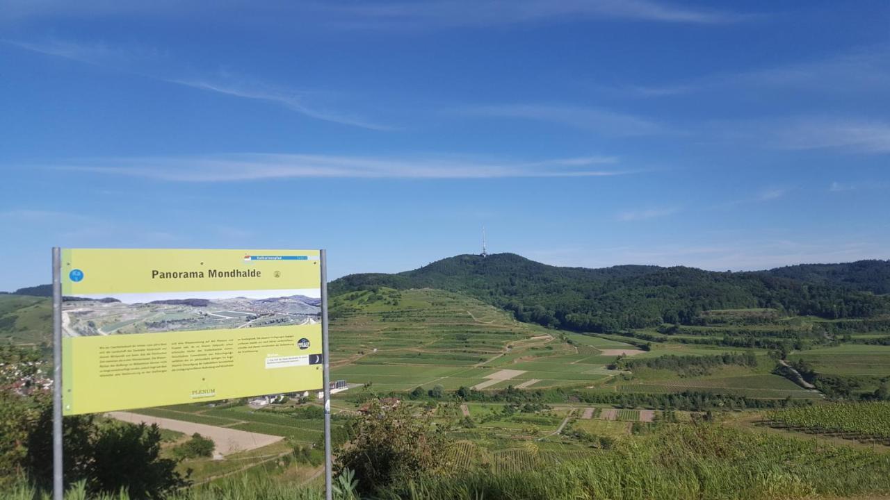 Gaestehaus Casa Luna - Paradiesische Ferienwohnungen Am Kaiserstuhl! Bischoffingen Eksteriør bilde