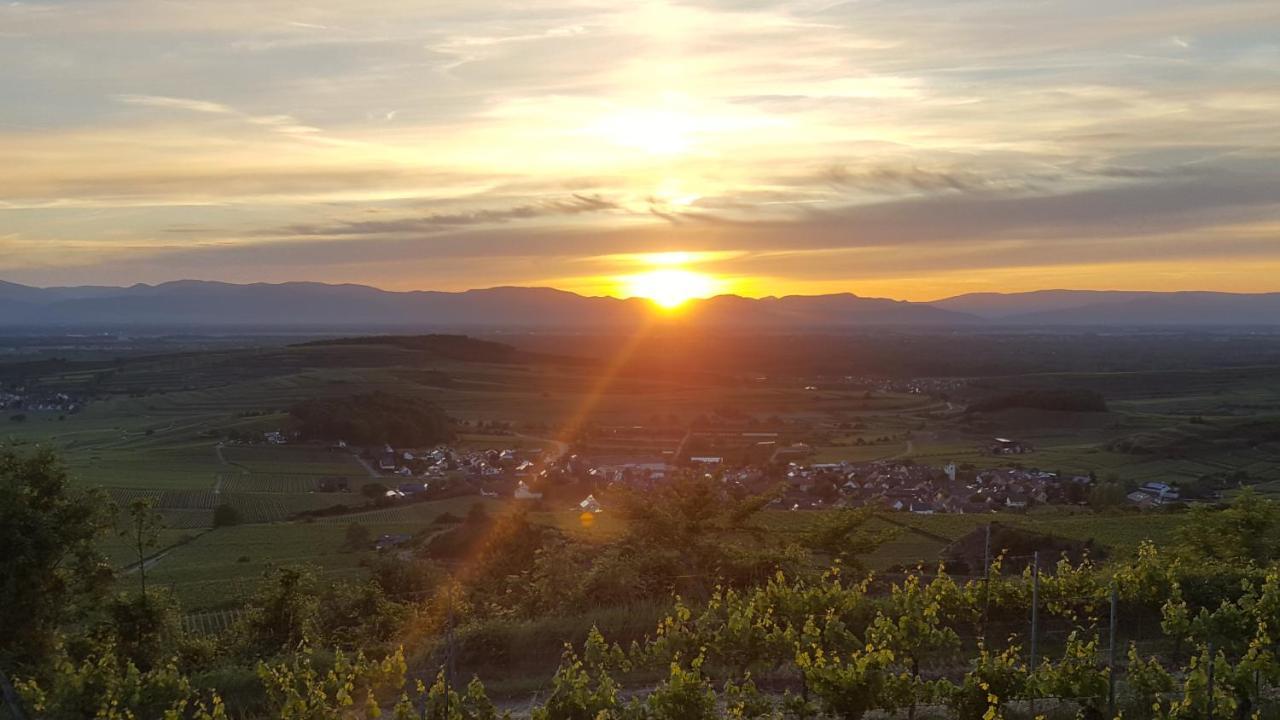 Gaestehaus Casa Luna - Paradiesische Ferienwohnungen Am Kaiserstuhl! Bischoffingen Eksteriør bilde