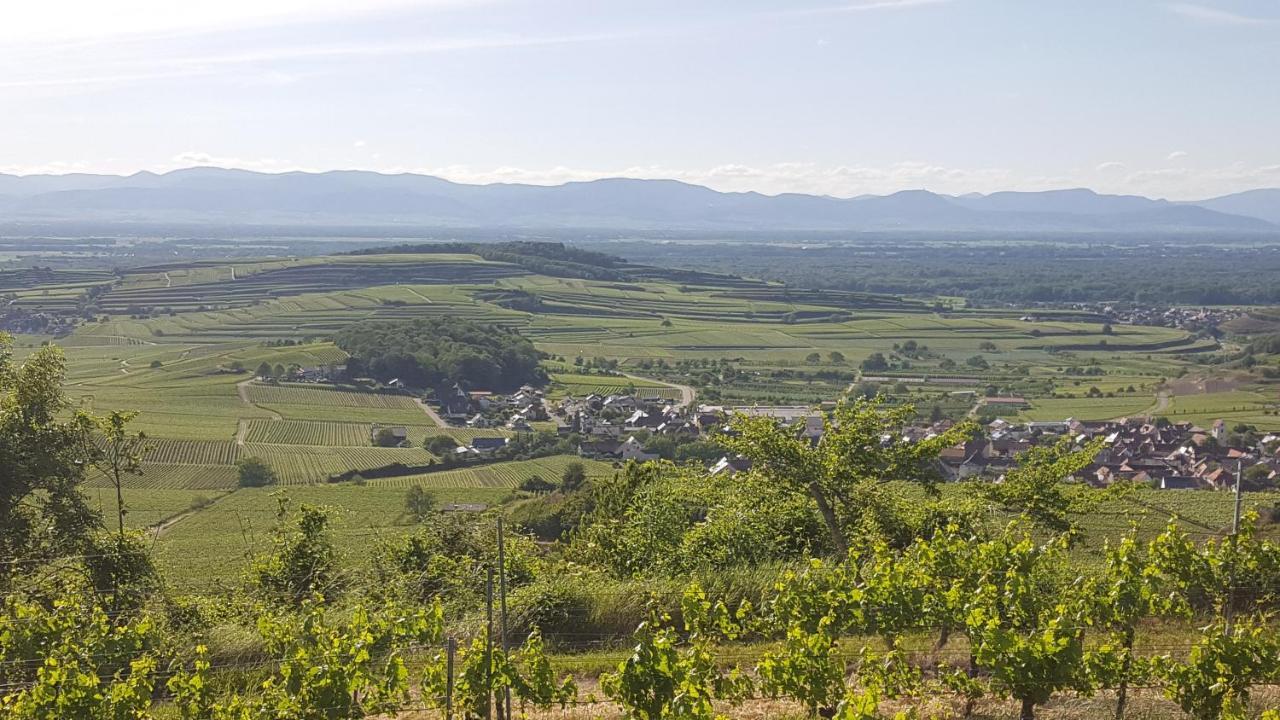 Gaestehaus Casa Luna - Paradiesische Ferienwohnungen Am Kaiserstuhl! Bischoffingen Eksteriør bilde