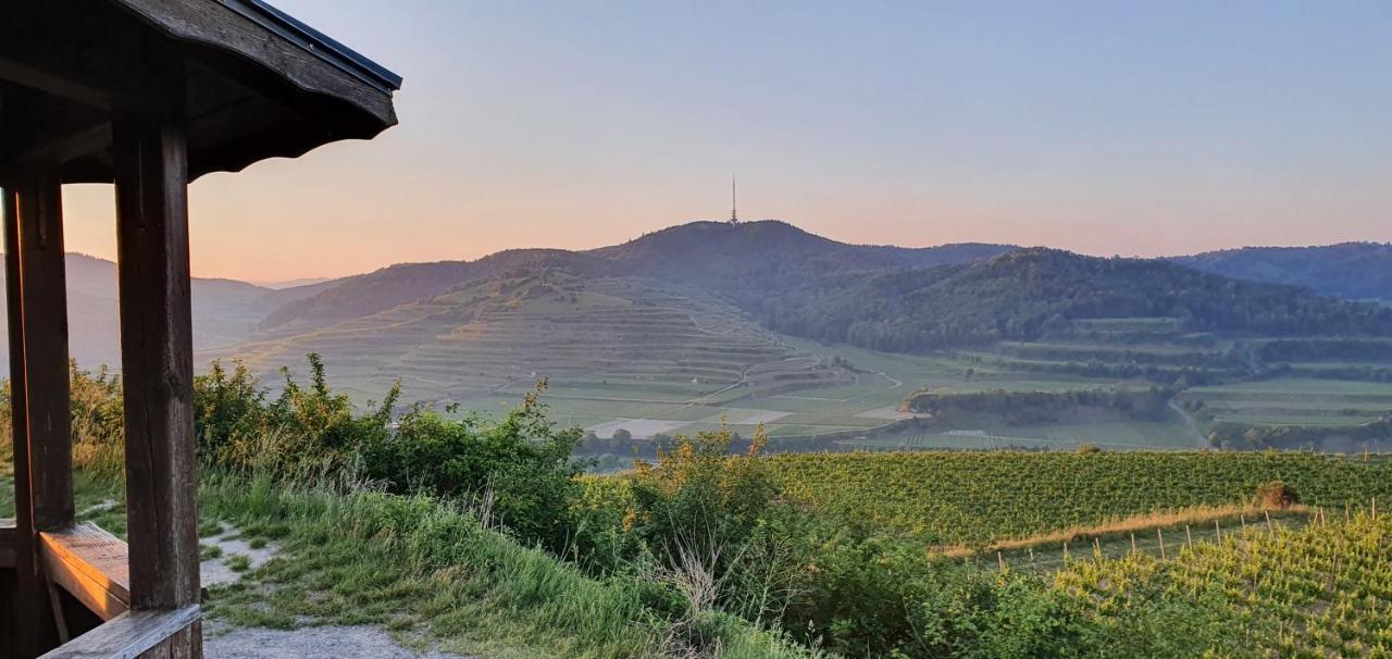 Gaestehaus Casa Luna - Paradiesische Ferienwohnungen Am Kaiserstuhl! Bischoffingen Eksteriør bilde